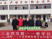 “三金西瓜霜——第四届爱牙公益行”活动在宕昌县西固小学顺利开展