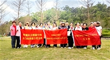 党建引领凝聚力，社会组织零距离