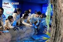 一梦江湖×扬帆计划中国江豚湾研学营，携手助力江豚保护