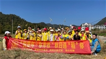 “悦童年·享丰收”秋日遇“稻”你公益小天使社会实践活动