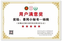 用户满意奖 